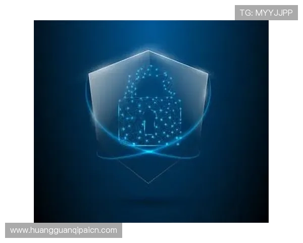 皇冠最新地址安全保障策略确保用户在使用过程中信息安全得到保障